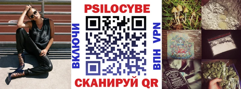 Купить  Болхов  Галлюциногенные грибы MAGIC MUSHROOMS 