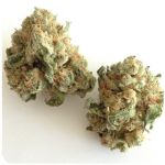 Шишки "White Widow"  (Белая вдова)  Гидропоника -  Бошка VHQ в Болхове